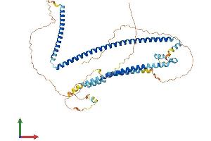 Protein Structure (PS) image for Coiled-Coil Domain Containing 125 (CCDC125) (AA 1-511) protein (His tag) (ABIN7553191)