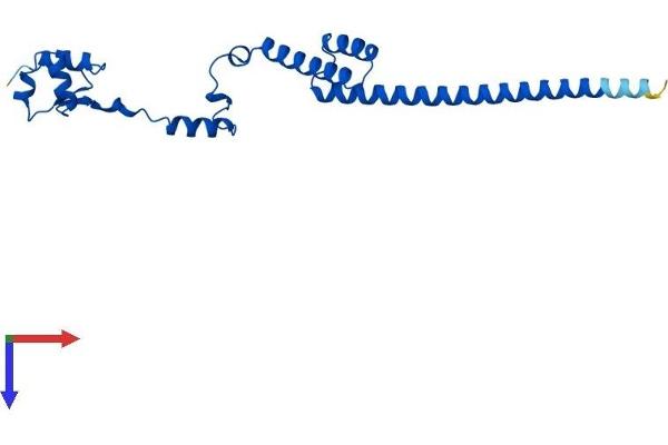 RPL19 Protein (AA 1-196) (His tag)