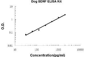 Dog BDNF PicoKine ELISA Kit standard curve (BDNF ELISA Kit)
