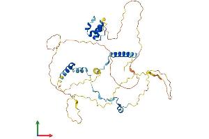 Protein Structure (PS) image for Nucleolar and Spindle Associated Protein 1 (NUSAP1) (AA 1-427) protein (His tag) (ABIN7561436)