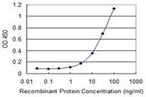 Detection limit for recombinant GST tagged MSRB2 is 1 ng/ml as a capture antibody. (MSRB2 Antikörper  (AA 102-201))