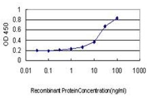 Detection limit for recombinant GST tagged STAU1 is approximately 0. (STAU1/Staufen Antikörper  (AA 401-496))