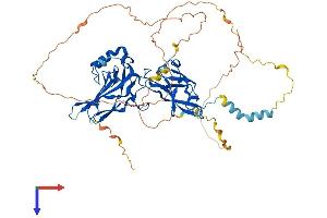 NF-kB p65 Protein (AA 1-549) (His tag)