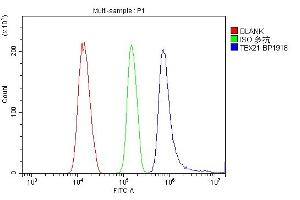Flow Cytometry analysis of NRK cells using anti-TBX21 antibody (ABIN7602980). (T-Bet Antikörper  (Middle Region))