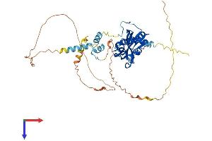 REXO4 Protein (AA 1-432) (His tag)