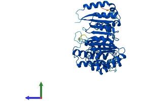 Protein Structure (PS) image for F-Box Protein 39 (FBXO39) (AA 1-443) protein (His tag) (ABIN7557476)