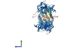 Protein Structure (PS) image for ATP-Binding Cassette, Sub-Family B (MDR/TAP), Member 11 (ABCB11) (AA 1-1321) protein (His tag) (ABIN7565154)