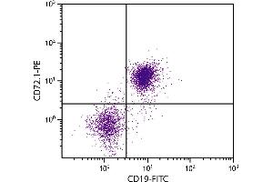 DBA/2 mouse splenocytes were stained with Mouse Anti-Mouse CD72. (CD72.1 Antikörper)