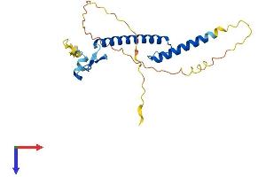 FIGLA Protein (AA 1-219) (His tag)