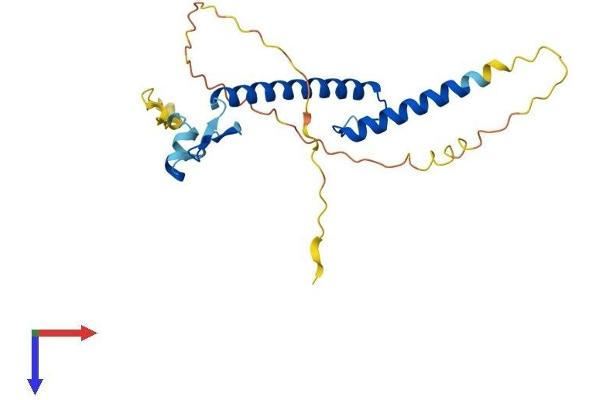 FIGLA Protein (AA 1-219) (His tag)