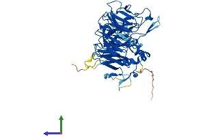Protein Structure (PS) image for Protein Phosphatase 2, Regulatory Subunit B, gamma (PPP2R2C) (AA 1-447) protein (His tag) (ABIN7551834)