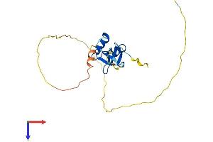 AlphaFold protein structure predicition of Mouse Recombinant Hdgfl3 Protein, UniprotID Q9JMG7