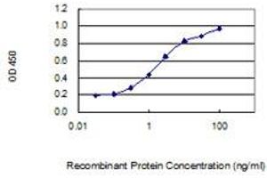 Detection limit for recombinant GST tagged ZC3HAV1L is 0. (ZC3HAV1L Antikörper  (AA 1-300))