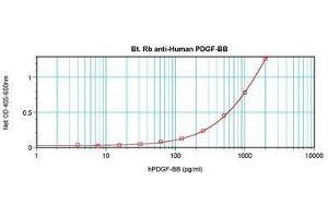 Image no. 1 for anti-PDGF-BB Homodimer antibody (Biotin) (ABIN465516) (PDGF-BB Homodimer Antikörper (Biotin))