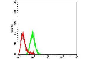 Flow Cytometry (FACS) image for anti-Cholinergic Receptor, Nicotinic, delta (Muscle) (CHRND) (AA 22-245) antibody (ABIN5611361)