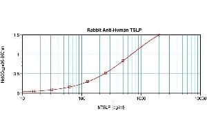 Sandwich ELISA using TSLP antibody (Thymic Stromal Lymphopoietin Antikörper)