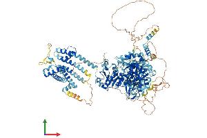 Protein Structure (PS) image for Potassium Channel, Subfamily T, Member 1 (KCNT1) (AA 1-1224) protein (His tag) (ABIN7564161)