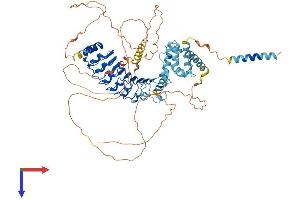 LRCH4 Protein (AA 1-680) (His tag)