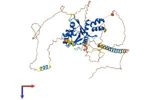 FAM83D Protein (AA 1-585) (His tag)