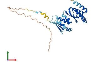 Protein Structure (PS) image for Partner of NOB1 Homolog (PNO1) (AA 1-248) protein (His tag) (ABIN7560476)