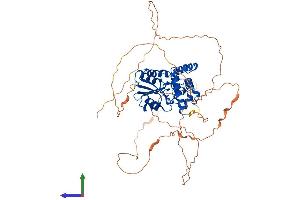 Protein Structure (PS) image for Eyes Absent Homolog 3 (EYA3) (AA 1-573) protein (His tag) (ABIN7553889)