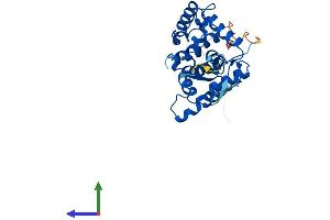AlphaFold protein structure predicition of Human Recombinant GOLPH3L Protein, UniprotID Q9H4A5 (GOLPH3L Protein (AA 1-285) (His tag))
