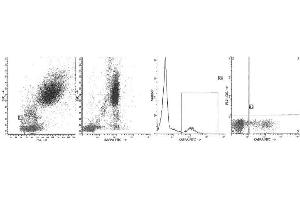 Image no. 1 for Mouse anti-Human Ig (Chain kappa), (Light Chain) antibody (FITC) (ABIN1107910) (Maus anti-Human Ig (Chain kappa), (Light Chain) Antikörper (FITC))