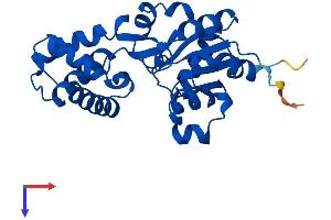 HDHD3 Protein (AA 1-251) (His tag)