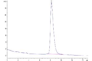 Size-exclusion chromatography-High Pressure Liquid Chromatography (SEC-HPLC) image for Discoidin Domain Receptor tyrosine Kinase 2 (DDR2) (AA 22-399) protein (His tag) (ABIN7274461)
