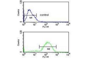 HSD11B2 flow cytometric analysis of MCF-7 cells (bottom histogram) compared to a negative control cell (top histogram). (HSD11B2 Antikörper  (Middle Region))