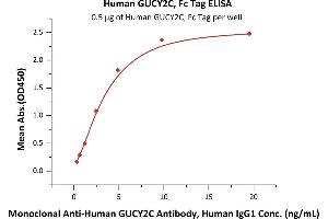 ELISA image for Guanylate Cyclase 2C (Heat Stable Enterotoxin Receptor) (GUCY2C) (AA 24-430) (Active) protein (Fc Tag) (ABIN7013421)