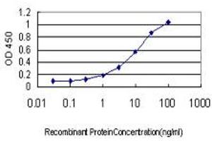 Detection limit for recombinant GST tagged ATN1 is approximately 0. (Atrophin 1 Antikörper  (AA 1-110))