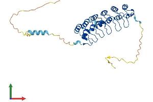 Protein Structure (PS) image for Nuclear Factor of kappa Light Polypeptide Gene Enhancer in B-Cells Inhibitor, alpha (NFKBIA) (AA 1-314) protein (His tag) (ABIN7556380)