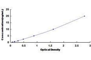 ELISA image for Solute Carrier Family 30 (Zinc Transporter), Member 6 (SLC30A6) ELISA Kit (ABIN429495)
