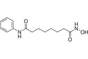 Chemical structure of SAHA (Vorinostat) , a HDAC inhibitor.