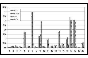 In this sandwich ELISA, NAG-1 was captured from human serum using the following antibodies (see Related Products below): anti-NAG-1/GDF15 (C terminal specific), anti-NAG-1/GDF15 (N terminal specific (PAN)), anti-NAG-1/GDF15 (H-variant) and anti-NAG-1/GDF15 (D-variant) polyclonal antibodies. (GDF15 Antikörper  (N-Term))