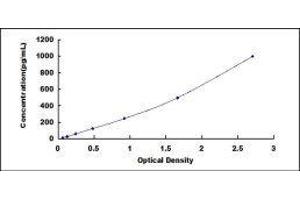 ELISA image for Troponin T (Tn T) ELISA Kit (ABIN416237)
