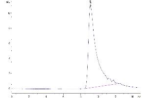 Size-exclusion chromatography-High Pressure Liquid Chromatography (SEC-HPLC) image for Interleukin 5 (IL5) (AA 21-133) protein (His-Avi Tag,Biotin) (ABIN7274960)