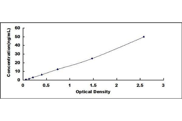 Ovalbumin ELISA Kit