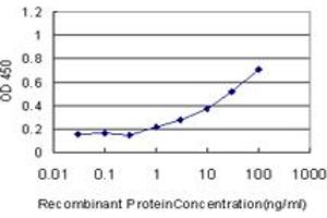 Detection limit for recombinant GST tagged GDF11 is approximately 1ng/ml as a capture antibody. (GDF11 Antikörper  (AA 310-407))