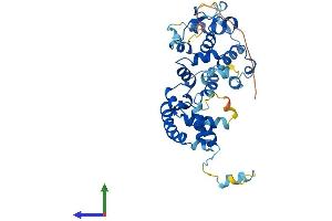 AlphaFold protein structure predicition of Human Recombinant EBLN1 Protein, UniprotID P0CF75