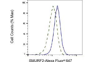 Validation of SMURF2 knockdown using flow cytometry. (SMURF2 Antikörper)