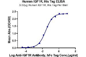 Immobilized Human IGF1R, His Tag at 0. (IGF1R Protein (AA 31-932) (His-Avi Tag))