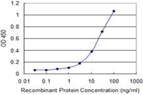 Retinoic Acid Early Transcript 1E (RAET1E) (AA 36-145) Antikörper