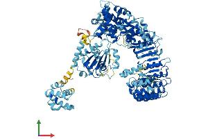 Protein Structure (PS) image for NLR Family, Pyrin Domain Containing 4E (NLRP4E) (AA 1-978) protein (His tag) (ABIN7564000)