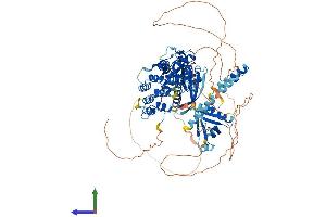 Protein Structure (PS) image for ArfGAP with GTPase Domain, Ankyrin Repeat and PH Domain 1 (AGAP1) (AA 1-857) protein (His tag) (ABIN7564457)