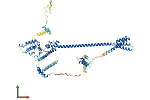Protein Structure (PS) image for DnaJ (Hsp40) Homolog, Subfamily C, Member 2 (DNAJC2) (AA 1-621) protein (His tag) (ABIN7553686)