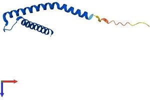 TIMM10B Protein (AA 1-100) (His tag)