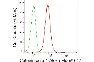 Flow cytometric analysis of Catenin beta 1 expression in C2C12 cells using Catenin beta 1 antibody (ABIN7797930), 1:2,000).