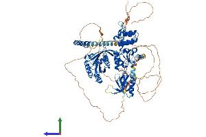 Protein Structure (PS) image for ArfGAP with GTPase Domain, Ankyrin Repeat and PH Domain 3 (AGAP3) (AA 1-875) protein (His tag) (ABIN7552038)